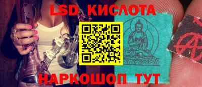 гашик Кулебаки