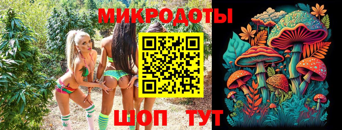Псилоцибиновые грибы прущие грибы Кинель